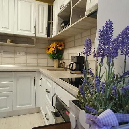 Apartament 3 Camere Spatios Timişoara Exterior foto