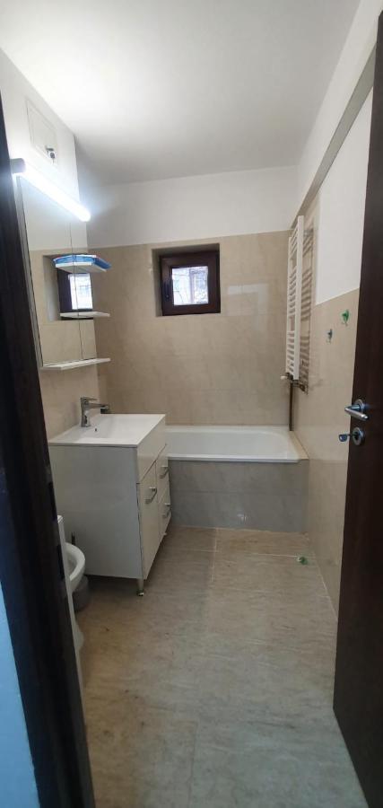 Apartament 3 Camere Spatios Timişoara Exterior foto