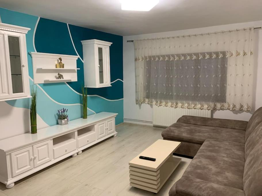 Apartament 3 Camere Spatios Timişoara Exterior foto