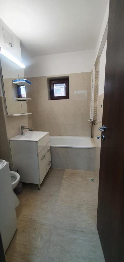 Apartament 3 Camere Spatios Timişoara Exterior foto